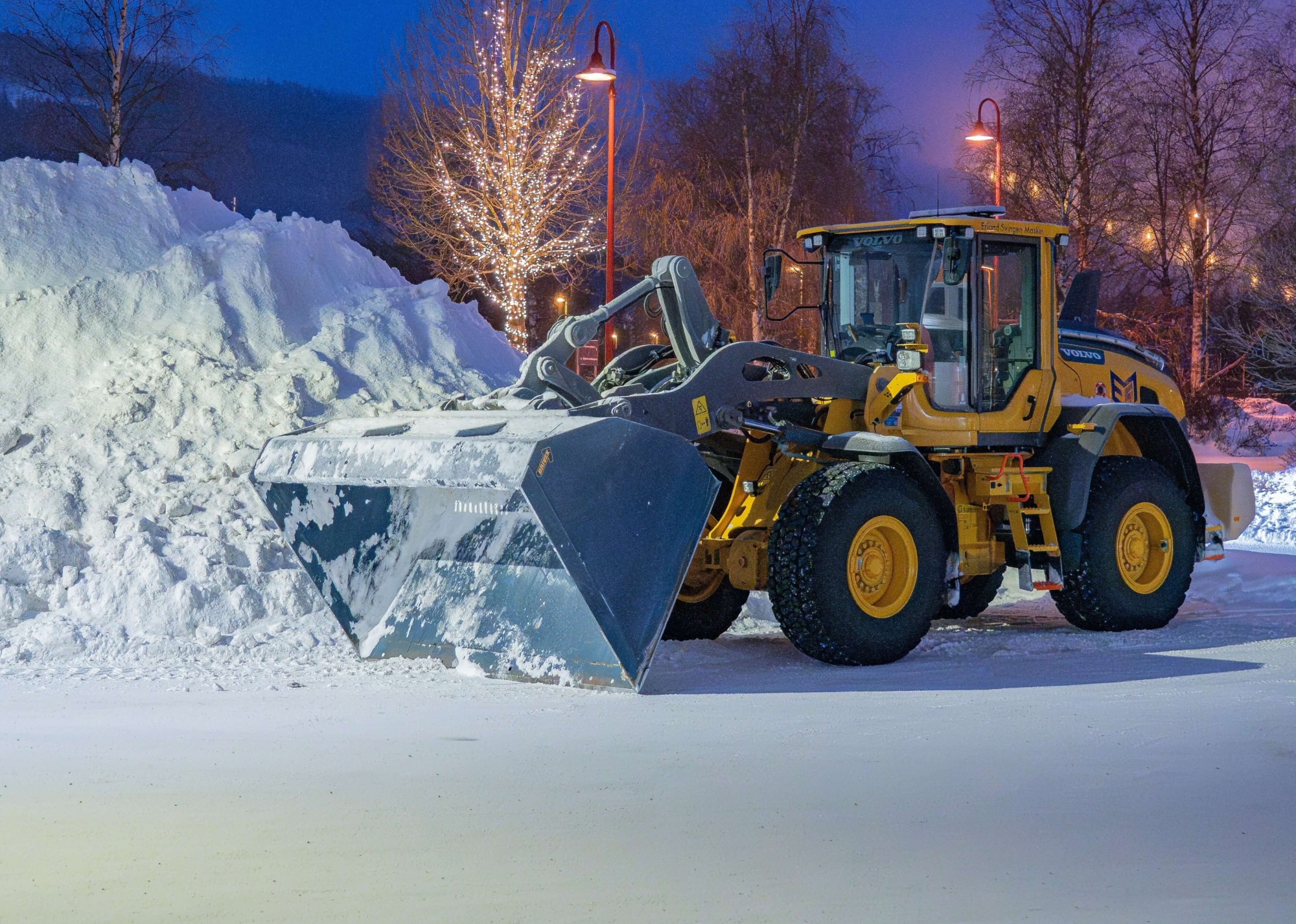 ❄️ Winteropleidingen ❄️